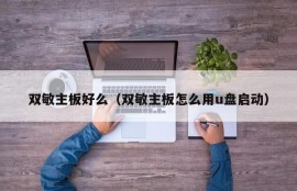 双敏主板好么（双敏主板怎么用u盘启动）