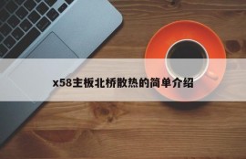 x58主板北桥散热的简单介绍