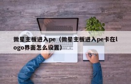 微星主板进入pe（微星主板进入pe卡在logo界面怎么设置）