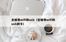 主板带wifi和usb（主板带wifi和usb网卡）