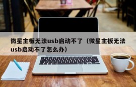 微星主板无法usb启动不了（微星主板无法usb启动不了怎么办）