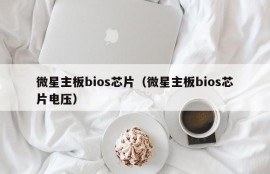 微星主板bios芯片（微星主板bios芯片电压）