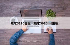 戴尔3110主板（戴尔3010mt主板）