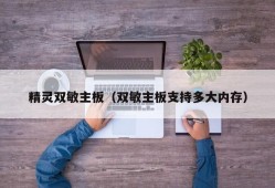 精灵双敏主板（双敏主板支持多大内存）