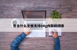 包含什么主板支持64g内存的词条