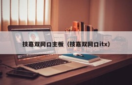 技嘉双网口主板（技嘉双网口itx）