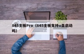 845主板Pro（845主板支持u盘启动吗）