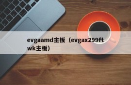 evgaamd主板（evgax299ftwk主板）