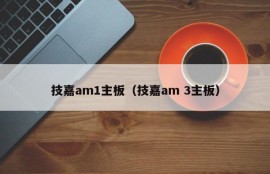 技嘉am1主板（技嘉am 3主板）