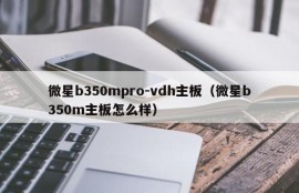 微星b350mpro-vdh主板（微星b350m主板怎么样）