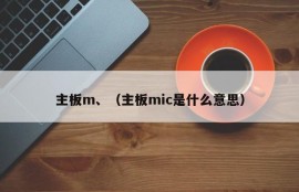 主板m、（主板mic是什么意思）