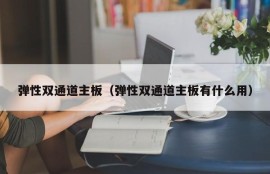 弹性双通道主板（弹性双通道主板有什么用）