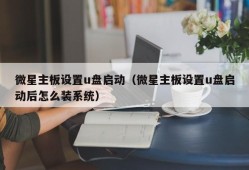 微星主板设置u盘启动（微星主板设置u盘启动后怎么装系统）