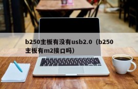 b250主板有没有usb2.0（b250主板有m2接口吗）