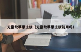 无指纹苹果主板（无指纹苹果主板能用吗）