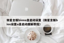 微星主板biosu盘启动设置（微星主板bios设置u盘启动图解教程）