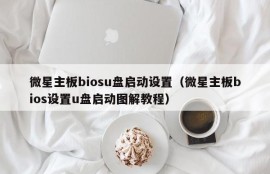 微星主板biosu盘启动设置（微星主板bios设置u盘启动图解教程）