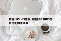 技嘉b85hd3主板（技嘉B85HD3主板适配固态硬盘）