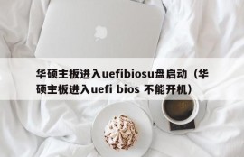 华硕主板进入uefibiosu盘启动（华硕主板进入uefi bios 不能开机）