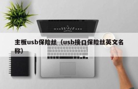 主板usb保险丝（usb接口保险丝英文名称）