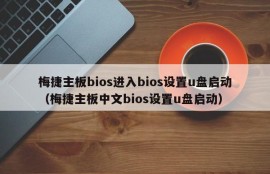 梅捷主板bios进入bios设置u盘启动（梅捷主板中文bios设置u盘启动）