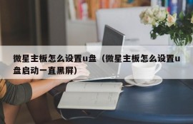 微星主板怎么设置u盘（微星主板怎么设置u盘启动一直黑屏）