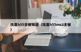 技嘉h55主板知道（技嘉h55ms2主板）