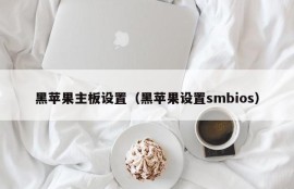 黑苹果主板设置（黑苹果设置smbios）