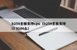 b250主板支持cpu（b250主板支持i3 9100么）