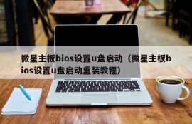 微星主板bios设置u盘启动（微星主板bios设置u盘启动重装教程）