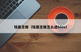 铭嘉主板（铭嘉主板怎么进bios）