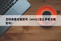 怎样查看主板型号（win11怎么查看主板型号）