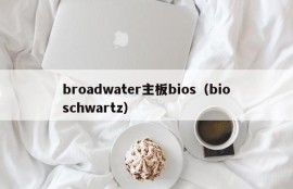 broadwater主板bios（bioschwartz）