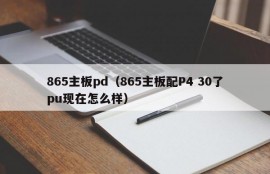 865主板pd（865主板配P4 30了pu现在怎么样）