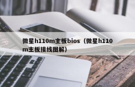 微星h110m主板bios（微星h110m主板接线图解）