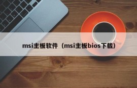 msi主板软件（msi主板bios下载）