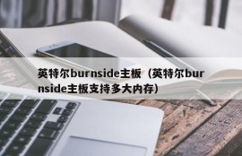 英特尔burnside主板（英特尔burnside主板支持多大内存）