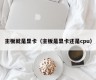 主板就是显卡（主板是显卡还是cpu）