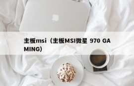 主板msi（主板MSI微星 970 GAMING）