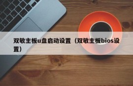 双敏主板u盘启动设置（双敏主板bios设置）