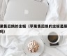 苹果售后换的主板（苹果售后换的主板是原装的吗）