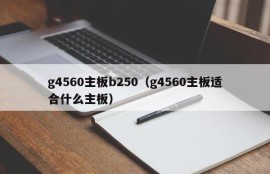 g4560主板b250（g4560主板适合什么主板）