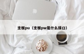 主板pu（主板pw是什么接口）