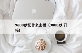 9800gt配什么主板（9800gt 开箱）