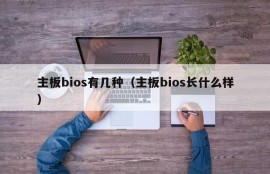 主板bios有几种（主板bios长什么样）