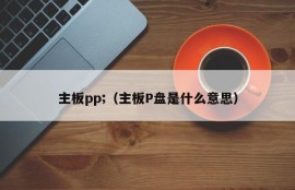 主板pp;（主板P盘是什么意思）